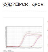 熒光定量PCR，qPCR實驗服務